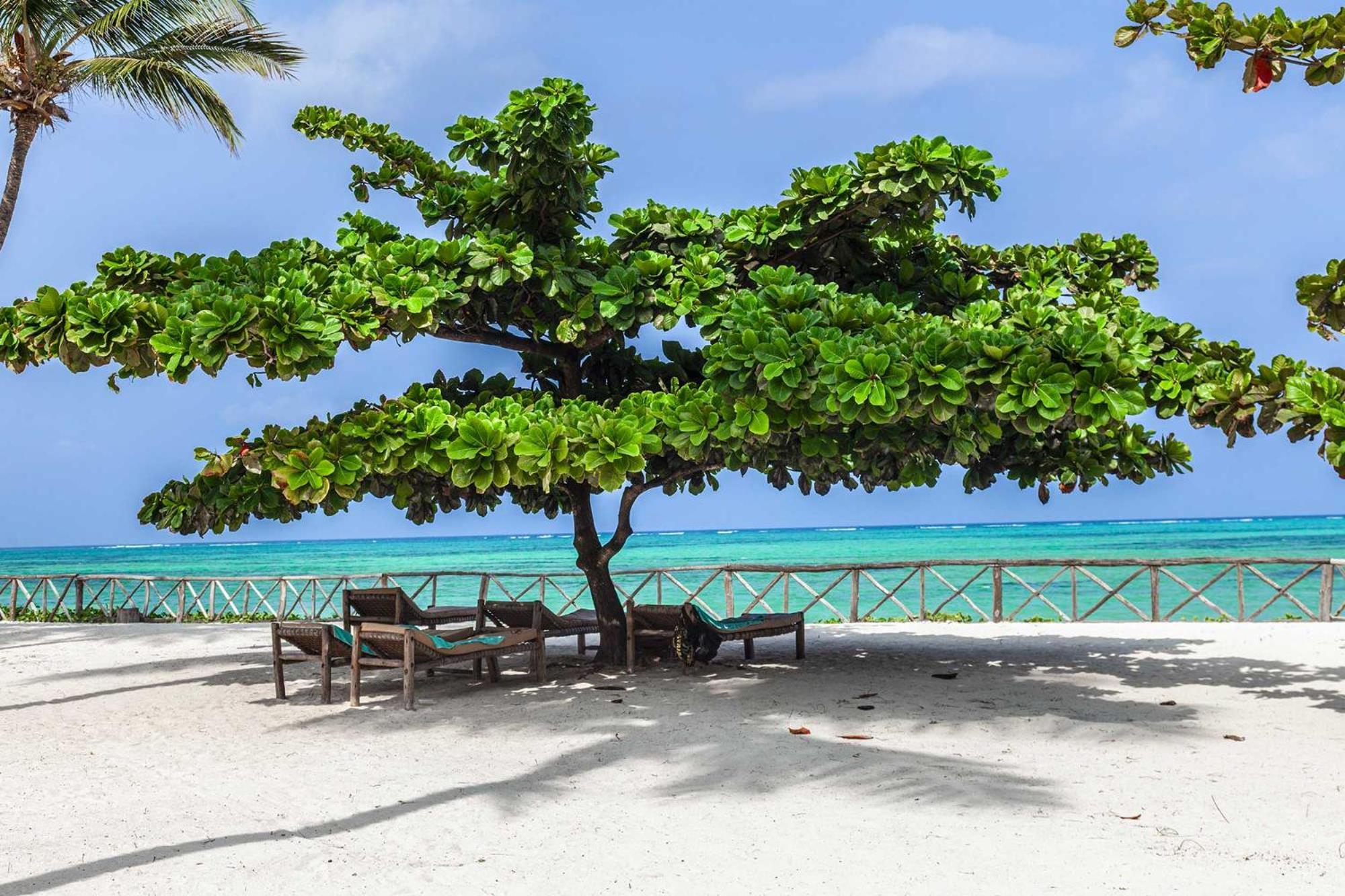 Vrclub Paje Palms Beach Resort Eksteriør billede